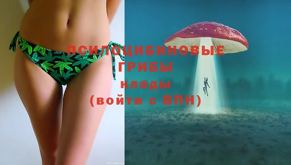 спиды Балахна