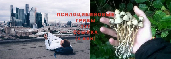 спиды Балахна