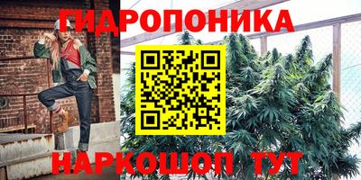 хмурый Бийск