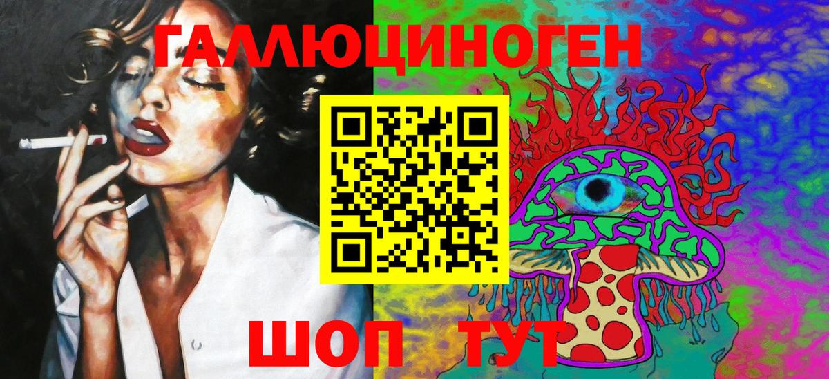 Галлюциногенные грибы Psilocybe  Донской  Псилоцибиновые грибы GOLDEN TEACHER 