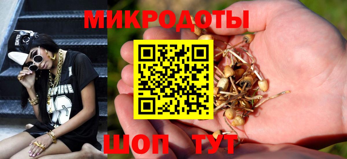 Галлюциногенные грибы прущие грибы Донской