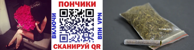 Каннабис семена  где можно купить наркотик  Донской 