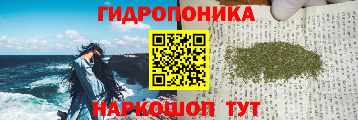 Канабис OG Kush Донской