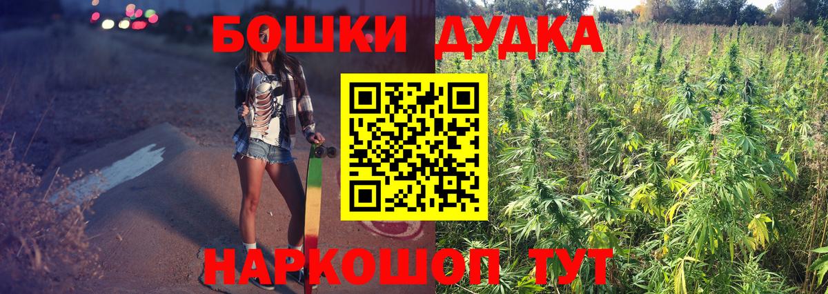 Конопля сатива Донской